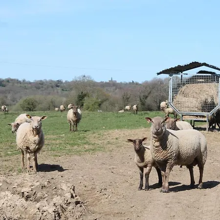 Holiday home La Forge Saint-Maurice-en-Cotentin