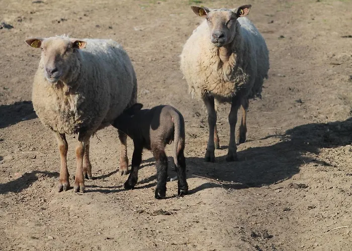 בית נופש La Forge *