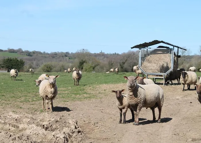 בית נופש La Forge Saint-Maurice-en-Cotentin